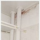 오늘도 맑개 이미지