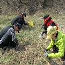 산수유축제장 이미지