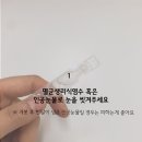 올바른 동물병원 이미지