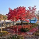 원주(부산방향)휴게소 이미지