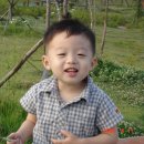 둔산공원-2 이미지