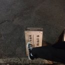 밤산책가들 네이버블로그