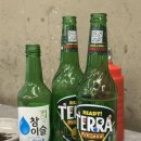 뱃나루터비산점
