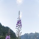 스위스산장 이미지
