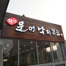 팔팔 문어 낙지 볶음 이미지