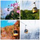 3318 | 팔공산 23번째 국립공원 지정 (+관광지 &amp; 홍보영상)