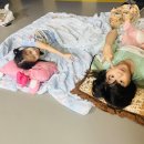 경희대무궁화태권도장 네이버블로그