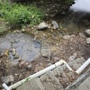 풍정식당 이미지