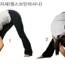 단요가 이미지