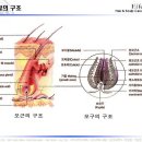 쥬니어미용실