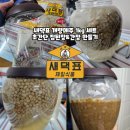 도전 나만의 전통장 만들기(목요일) | [장담그기 장가르기] 새댁표 개량메주 1kg 세트로 초간단 집된장&amp;간장 만들기