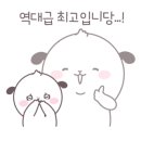 퍼펫 애견카페 이미지