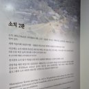 소치 | 진도 운림산방 '소치미술관'에 꼭 가봐야 하는 이유