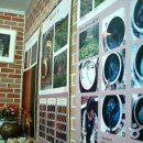 자연염색박물관 이미지