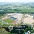 영광잔디 이미지