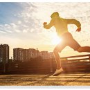 2016-주051 이미지