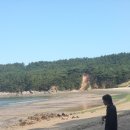 조나단 민박 네이버블로그