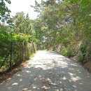 홍릉초교 이미지