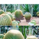 부국개발주식회사 여미지식물원 이미지