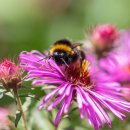 판교행정사 이미지