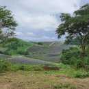 고산태양광발전소 이미지