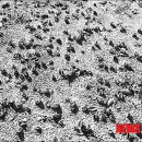 갯벌정원 이미지