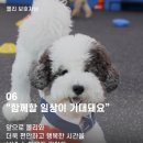 P&M 반려견교육센터 대전점 이미지