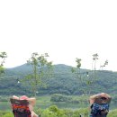 소리의섬 이미지