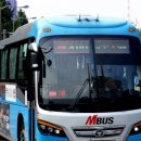 [단독] M 버스 이제 전국에서 달린다…지방 교통 편의 획기적 개선 이미지