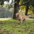 베이지동물병원 이미지