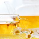 카모마일의원 이미지