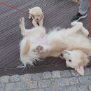 오구오구내새끼