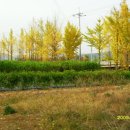 전원목장 이미지