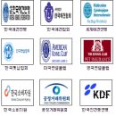 그루밍독스 | 분양하는 곳 캣츠앤독스, 분양중]바비,켄♥스코티시...분양, 수원 고양이 분양, 화성 고양이 분양, 동탄...