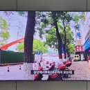 양양이 삼국지, 조자룡 이미지