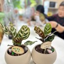 안의경로당 이미지