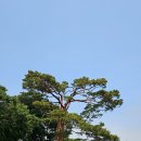 해파랑길 28코스 부구삼거리 ~ 호산버스터미널