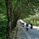 대상디앤에이 이미지