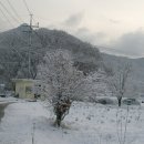 양촌리마을 이미지