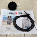 아델라인니트 네이버블로그