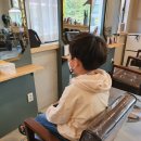 더블유파마 이미지