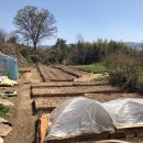 갈계리농장 | 친환경 자연주의 에코맘 지안농원 토종텃밭 다녀왔어요.