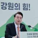 강원카