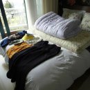 해라의성 이미지