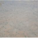 서일고등학교 이미지