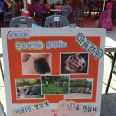 서현1동주민자치센터 이미지