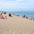 바다정원 이미지