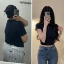 GM약국 | 원더라이너 에스컷 필 내돈내산 후기 16kg