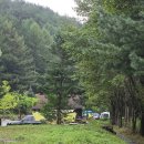 태백고원자연휴양림 이미지