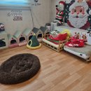 공항 가까운 전원주택 펫시터 | 공항 근처 애견호텔 전원주택펫시터 다녀온 후기